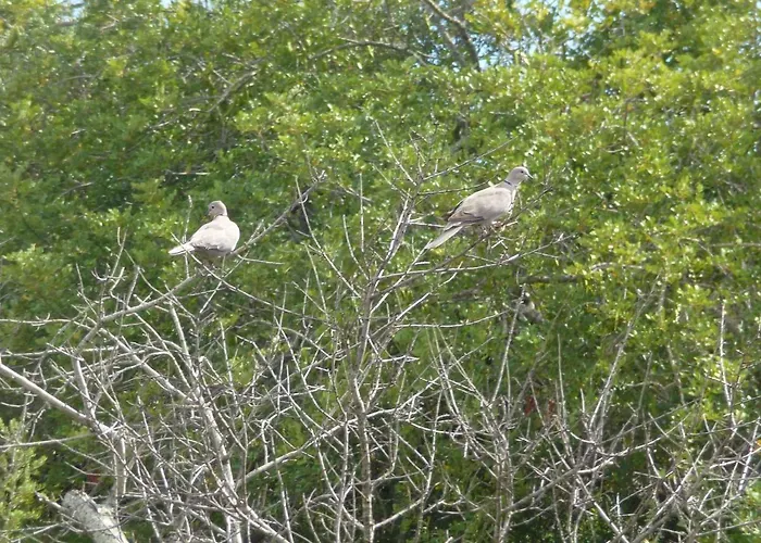 Monte Perdizes Bed and Breakfast