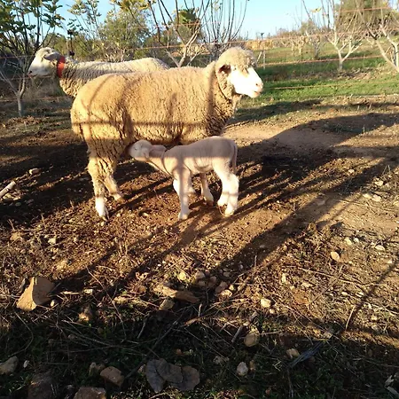Monte Perdizes 住宿加早餐酒店