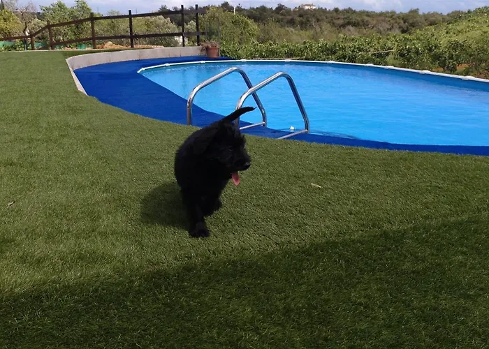 住宿加早餐酒店 Monte Perdizes