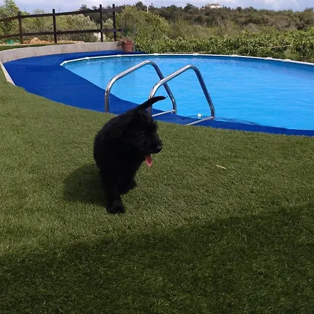 Bed & Breakfast Monte Perdizes